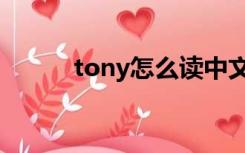 tony怎么读中文（tony怎么读）