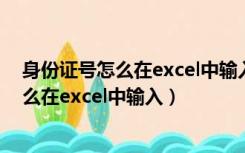 身份证号怎么在excel中输入分别代入每个格（身份证号怎么在excel中输入）