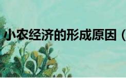 小农经济的形成原因（小农经济产生的原因）