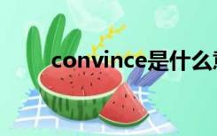 convince是什么意思（convince）