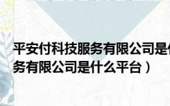 平安付科技服务有限公司是什么类型的公司（平安付科技服务有限公司是什么平台）