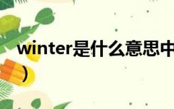 winter是什么意思中文（winner是什么意思）