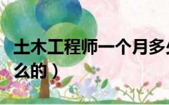 土木工程师一个月多少钱（土木工程师是做什么的）