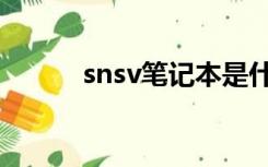 snsv笔记本是什么牌子（snsv）