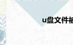 u盘文件被病毒隐藏