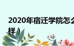 2020年宿迁学院怎么样（江苏宿迁学院怎么样）