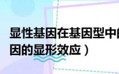 显性基因在基因型中的个数影响性状表现（基因的显形效应）