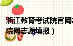 浙江教育考试院官网志愿查询（浙江考试教育院网志愿填报）