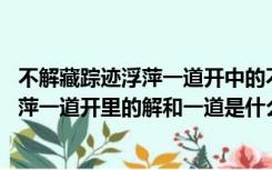 不解藏踪迹浮萍一道开中的不解是什么意思（不解藏踪迹 浮萍一道开里的解和一道是什么意思）