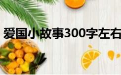 爱国小故事300字左右（爱国故事50字左右）