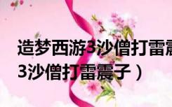 造梦西游3沙僧打雷震子必备条件（造梦西游3沙僧打雷震子）