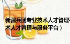 新疆兵团专业技术人才管理平台官网登录（新疆兵团专业技术人才管理与服务平台）