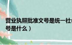 营业执照批准文号是统一社会信用代码吗（营业执照批准文号是什么）