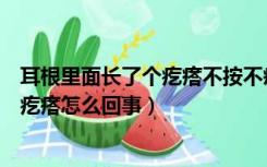 耳根里面长了个疙瘩不按不疼一按就疼（耳根里面长了个硬疙瘩怎么回事）