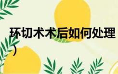 环切术术后如何处理（环切手术后恢复怎么看）