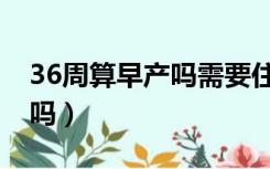 36周算早产吗需要住保温箱吗（36周算早产吗）