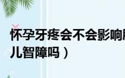 怀孕牙疼会不会影响胎儿（怀孕牙疼会造成胎儿智障吗）