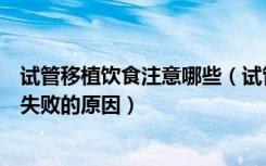 试管移植饮食注意哪些（试管婴儿移植的注意事项、饮食及失败的原因）