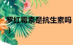 罗红霉素是抗生素吗（德国沐舒坦是抗生素吗）