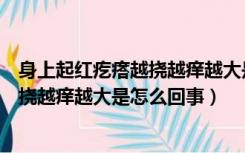 身上起红疙瘩越挠越痒越大是怎么回事啊（身上起红疙瘩越挠越痒越大是怎么回事）