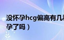 没怀孕hcg偏高有几种可能（hcg高一定是怀孕了吗）