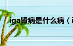 iga肾病是什么病（iga肾病能生孩子吗）