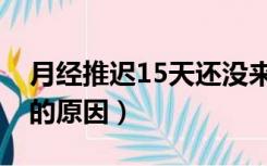 月经推迟15天还没来的原因（月经推迟15天的原因）