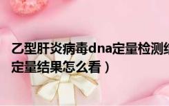 乙型肝炎病毒dna定量检测结果怎么看（乙型肝炎病毒DNA定量结果怎么看）