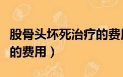 股骨头坏死治疗的费用贵不（股骨头坏死治疗的费用）