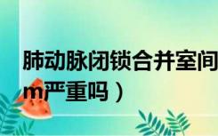 肺动脉闭锁合并室间隔缺损（室间隔缺损2mm严重吗）