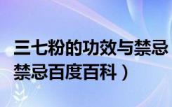 三七粉的功效与禁忌（三七粉的功效与作用及禁忌百度百科）