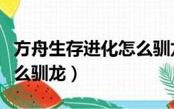 方舟生存进化怎么驯龙喂食（方舟生存进化怎么驯龙）