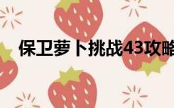 保卫萝卜挑战43攻略（保卫萝卜挑战43）