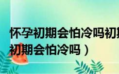 怀孕初期会怕冷吗初期身体会不会发冷（怀孕初期会怕冷吗）