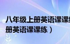 八年级上册英语课课练活页卷答案（八年级上册英语课课练）