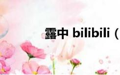 露中 bilibili（露中r18漫画）