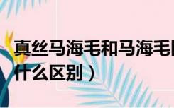 真丝马海毛和马海毛区别（马海毛和海马毛有什么区别）