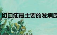 切口疝最主要的发病原因是（什么是切口疝）