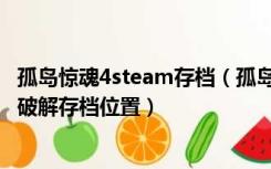 孤岛惊魂4steam存档（孤岛惊魂4存档位置在哪儿Skidrow破解存档位置）