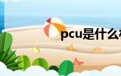 pcu是什么材料（pcu）