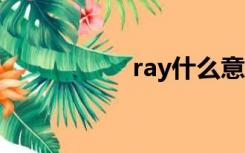 ray什么意思（ray j）