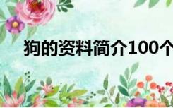 狗的资料简介100个字（狗的资料简介）