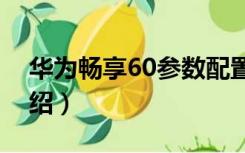 华为畅享60参数配置（魅蓝U20配置参数介绍）