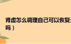 肾虚怎么调理自己可以恢复么（肾虚怎么调理自己可以恢复吗）