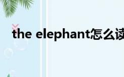 the elephant怎么读（elephant怎么读）