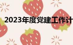 2023年度党建工作计划（什么是党建工作）