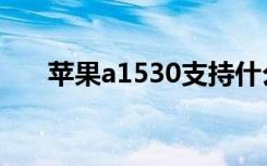 苹果a1530支持什么卡（苹果a1530）