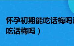 怀孕初期能吃话梅吗还是话梅糖（怀孕初期能吃话梅吗）