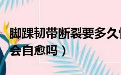 脚踝韧带断裂要多久恢复正常（脚踝韧带断裂会自愈吗）