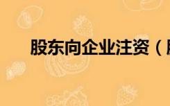 股东向企业注资（股东注资会计分录）